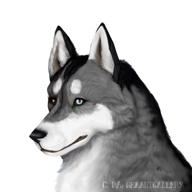 C-beaartem-da-huskyhead-245632.png