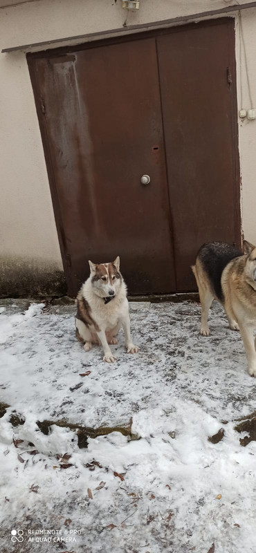 E2147180-CDBE-42B5-926B-B3B27D866630