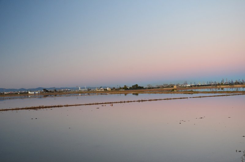 Valencia y sus pueblos-2005/2024 - Blogs de España - Parque Natural de La Albufera-21-12-2024 (11)