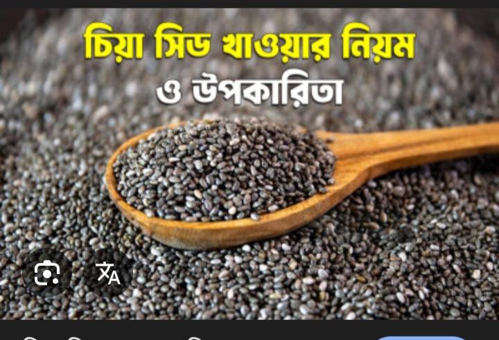 চিয়া সিড