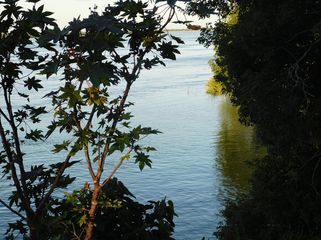 DSCN0341.jpg