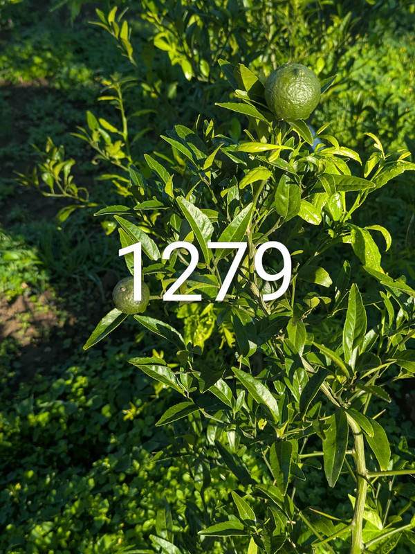 PXL_20250918_122512219~2