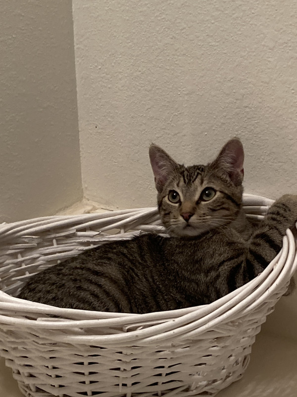 17527A93-E0F6-4E04-BEF5-8C0CD7F9CA9C