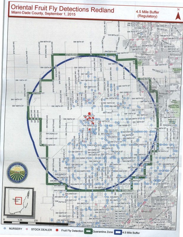 Fruit fly map (1) - Page 1