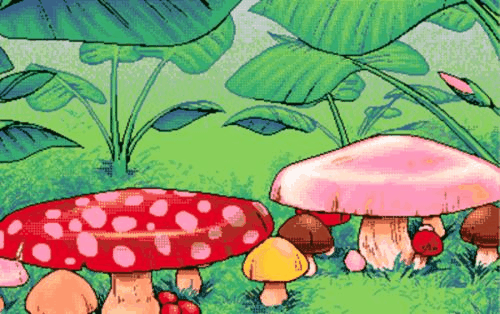 image.gif
