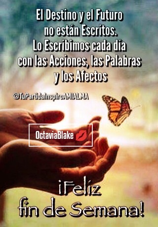 photostudio-1769855793339