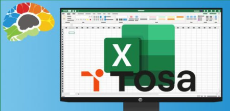 Learning Excel 365 – Advanced (TOSA)