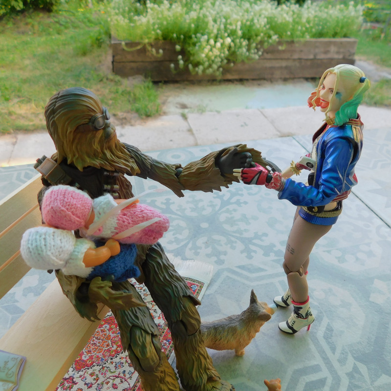 Дачно-Харлинский июнь-июль 2024 263