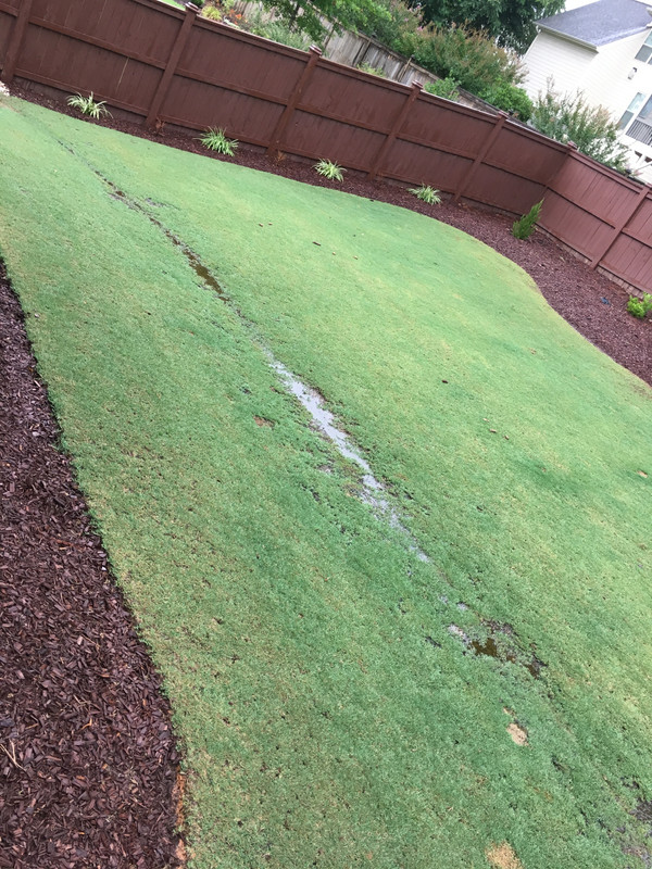 496AD3D1-0847-4E1C-925F-7DE847C8D579