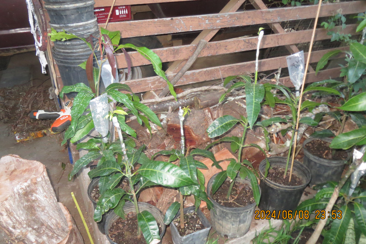 8530F22D-8D8C-43D5-938B-5B0C648EE184