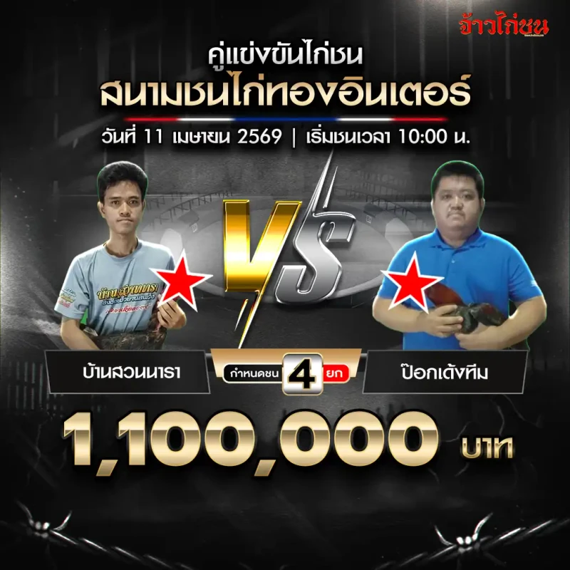 บ้านสวนนารา พบ ป๊อกเด้งทีม สนามชนไก่ทองอินเตอร์ 11 เมษายน 2569