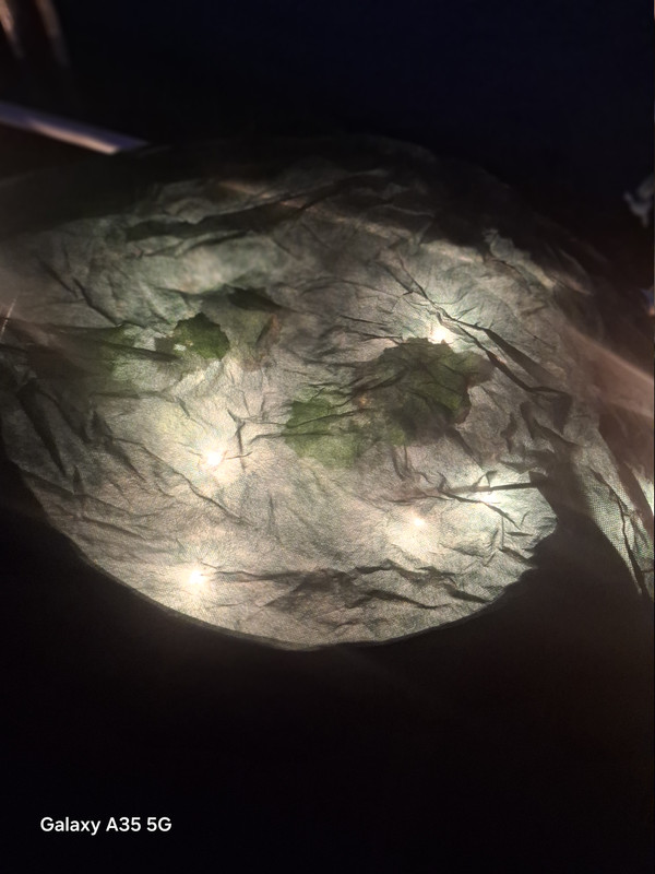 20260222 184544
