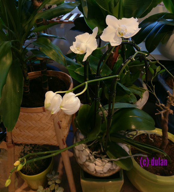 [Image: IMG-20230323-222338.jpg]