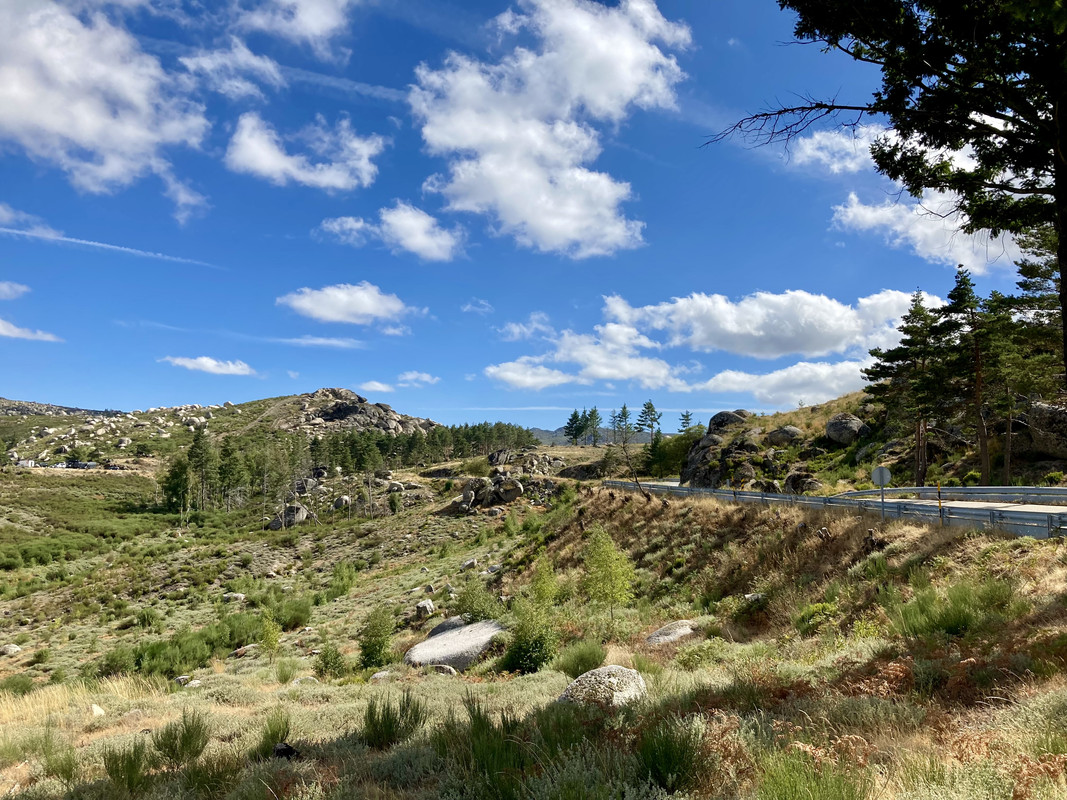 5DCC199A-9F0F-4C4F-9FF8-19C1715BCBFB