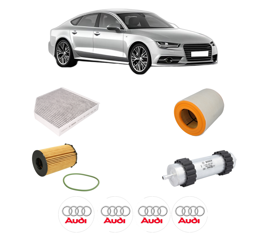 pachetrevizierboschC9662