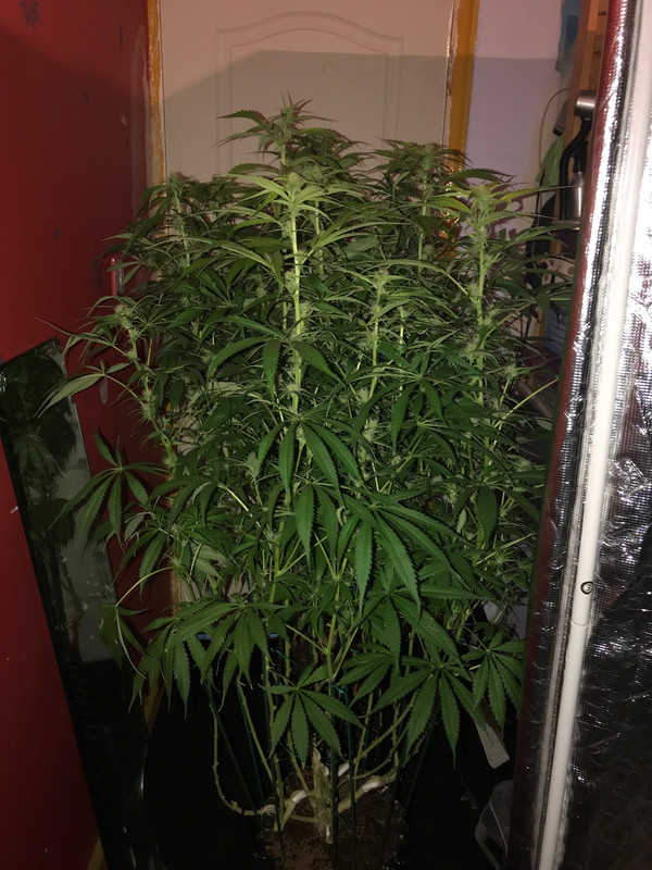 B34202EA-67C4-4F3F-BCA3-E586C67782B7