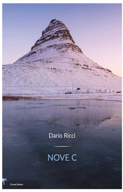 Dario Ricci – Nove C. (2020)