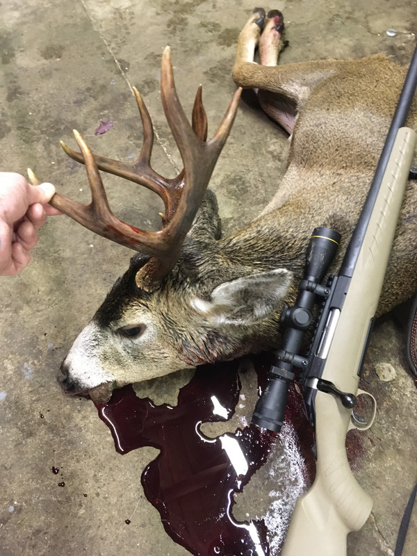 FEF72179-3C0E-41BE-8A55-EADA32B438F8