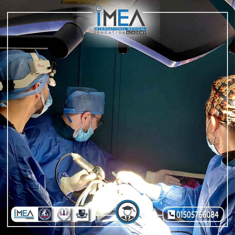 IMEA Gallery 2