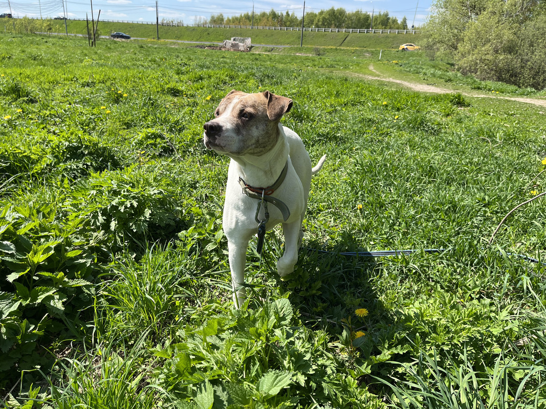 45DAB3D1-F1B9-4B0F-83EE-ABD4A16F2359