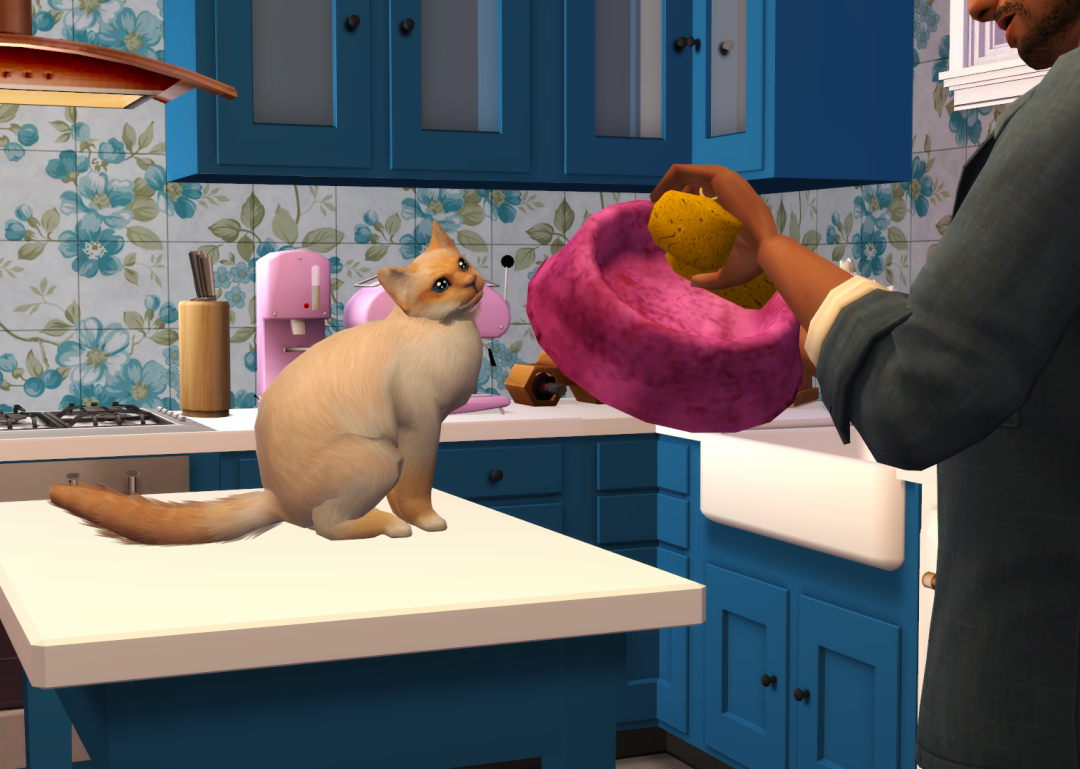 Sims2-EP9-RPC-2023-05-26-21-26-57-48