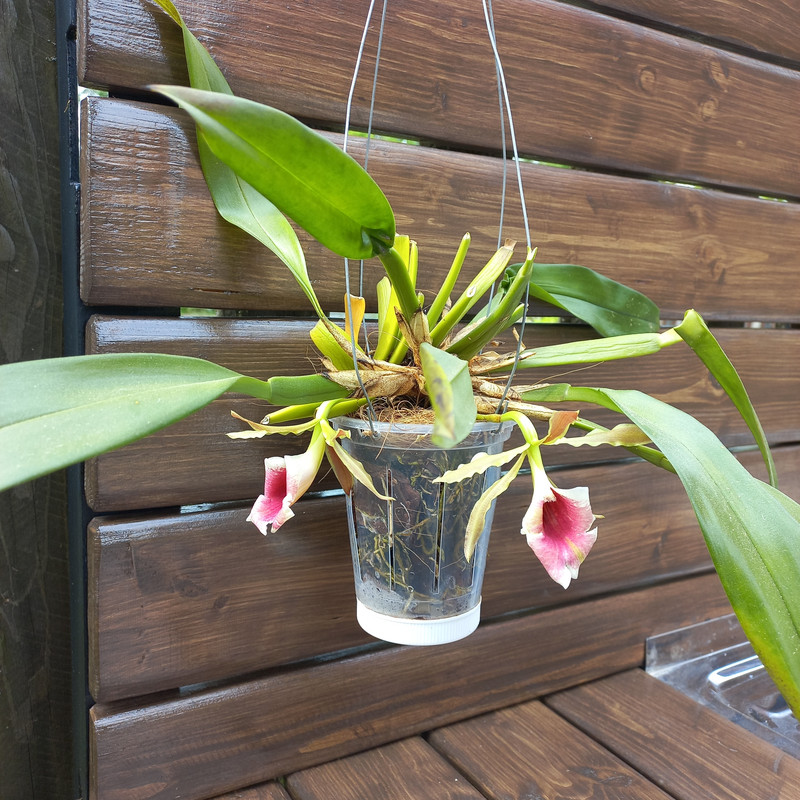 0SLFuw2U28i HOXVb Xs Ovb BCxdo7 lzwg Q1Be Ayz HSEGkasg L84p Q M 1i XLNCx SFMt9p BQGVi2APJof3f II02N9