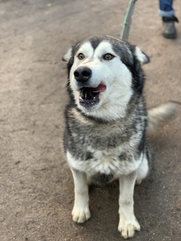 CBDA8266-4C2D-4B7C-ADC8-FC8FFB7143A9