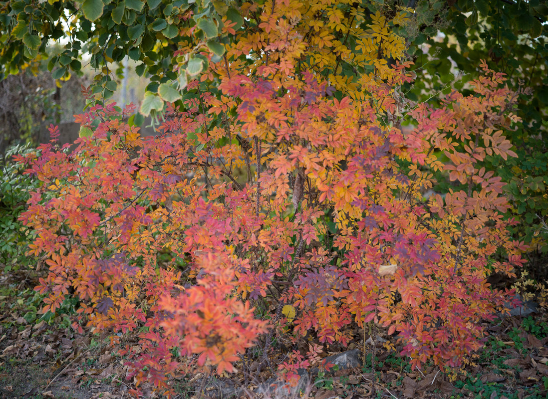 IMG-aaf4334bc6481a3eb7eb59b8d5e347ee-V