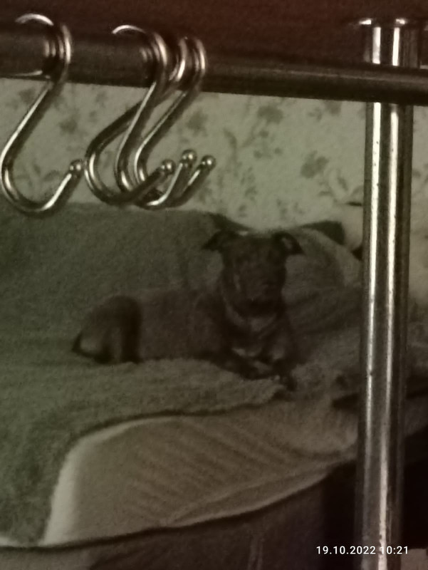 18911F19-4E7C-4B97-9FA8-C856951CA679