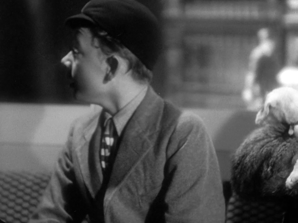 vlcsnap-2023-07-30-17h02m33s269