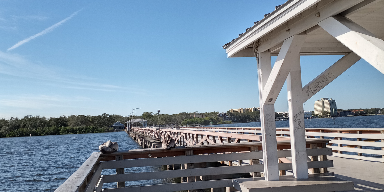 [Image: Ballast-Point-Park-Tampa-FL5-A.png]