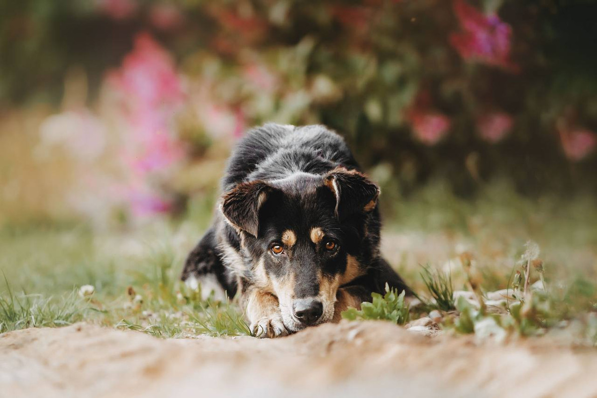 photo_2023-09-26_22-09-23 (2)