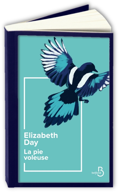 Pie-voleuse-La-Elizabeth-Day.jpg