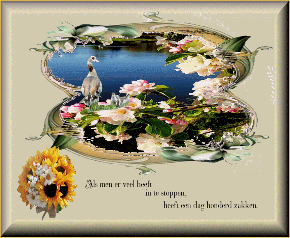 middenplaatje-7-juli-2021