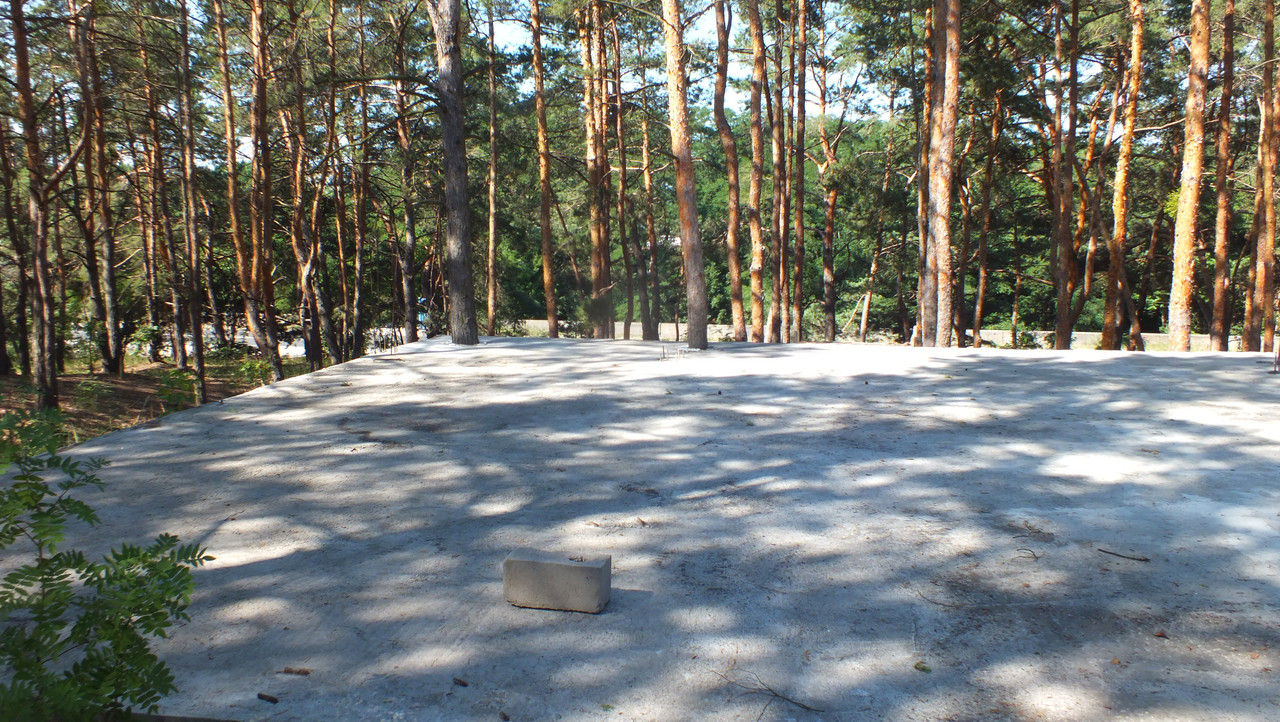 DSCF8850