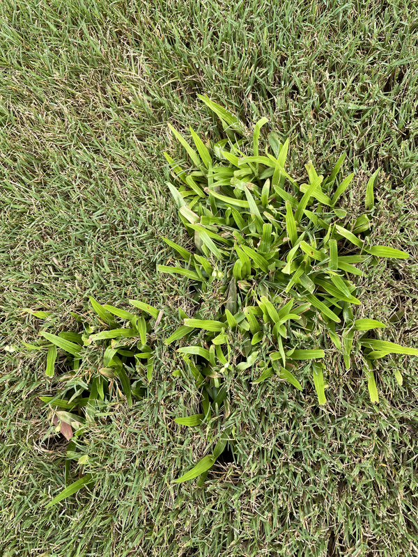 9F2862F1-A47D-4928-AD3B-A5BF7D931DD4