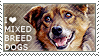 i-love-mixed-breed-dogs-by-wishmasteralchemist-d20lij1-fullview