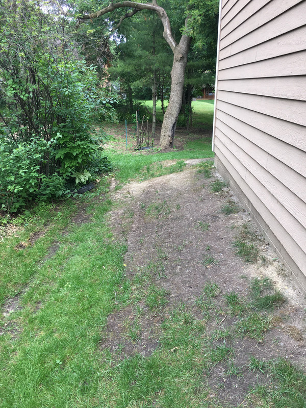 3F49061B-EDE6-41FE-9BC8-13D912632B8F