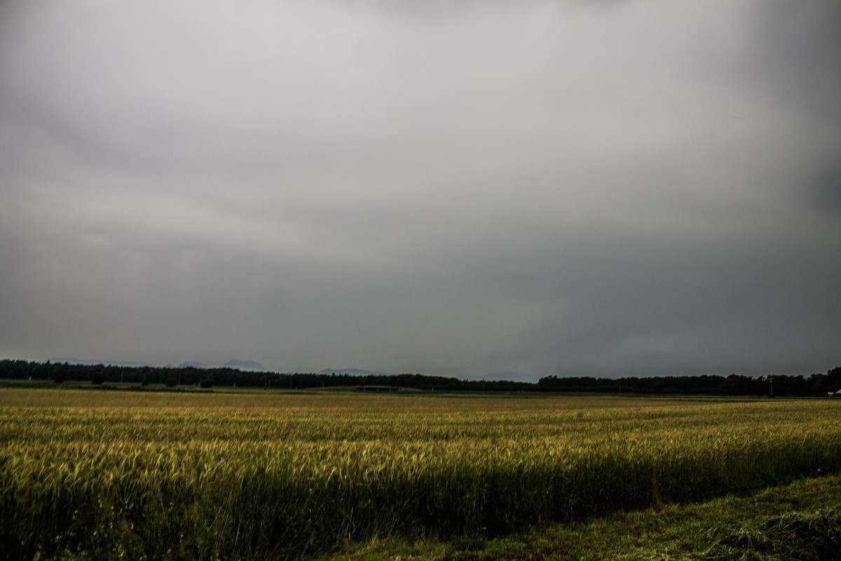 IMG_8888