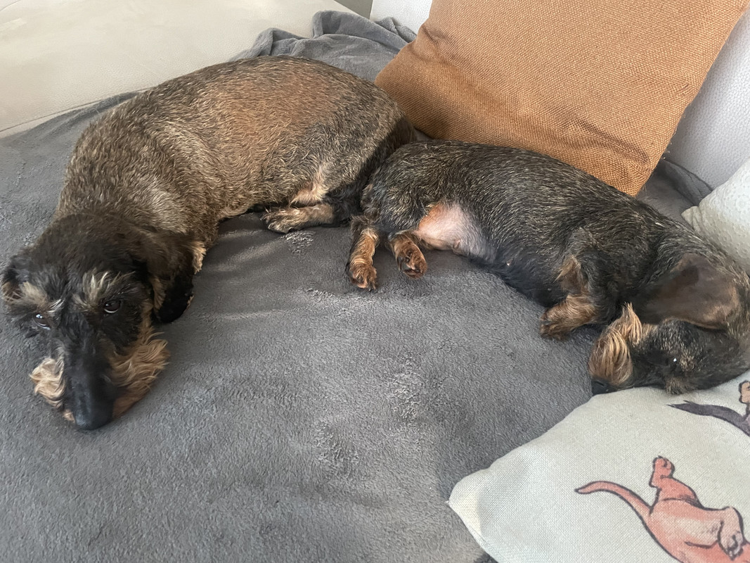 [Image: IMG-6035.jpg]