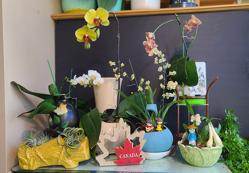 [Image: 20260208-102717.jpg]