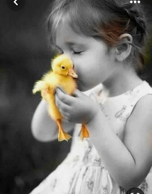 Screenshot_20230426_224916_Pinterest