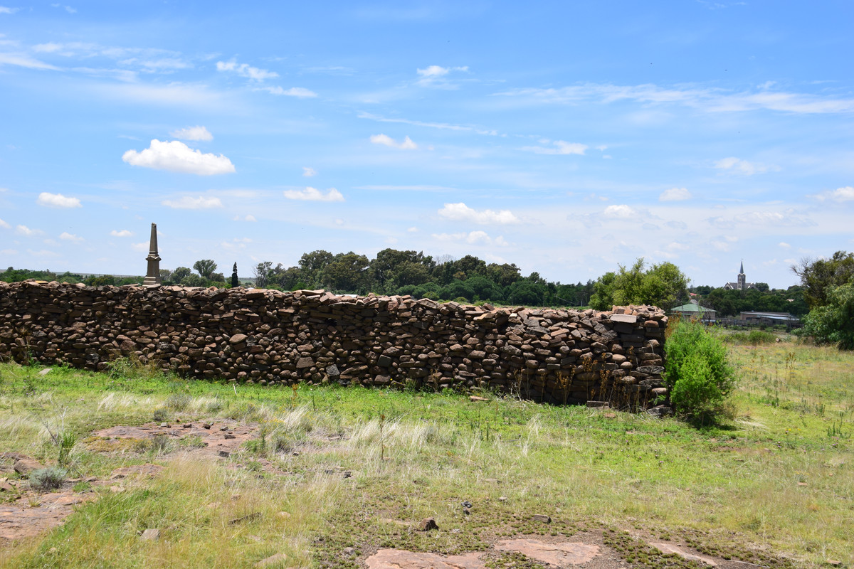 DSC_0083 (3)