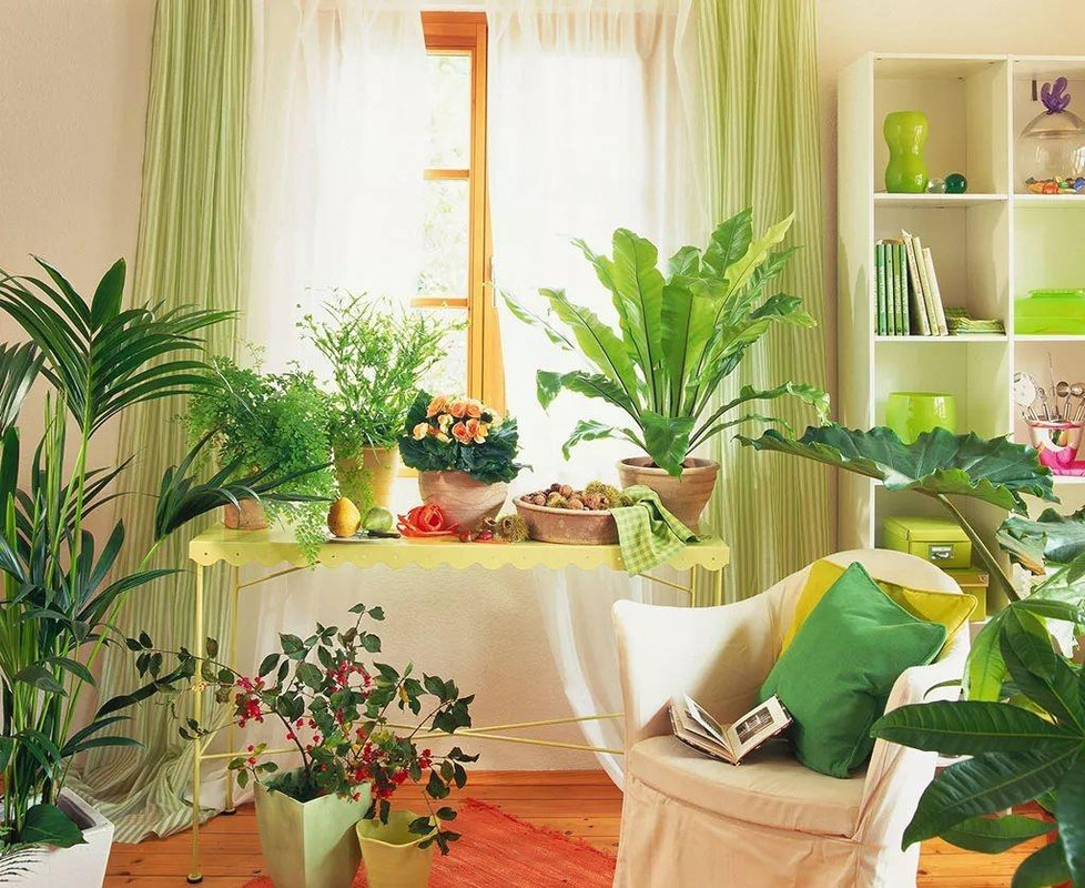 Украшение детской комнаты с помощью живых растений вдохновляющие идеи
