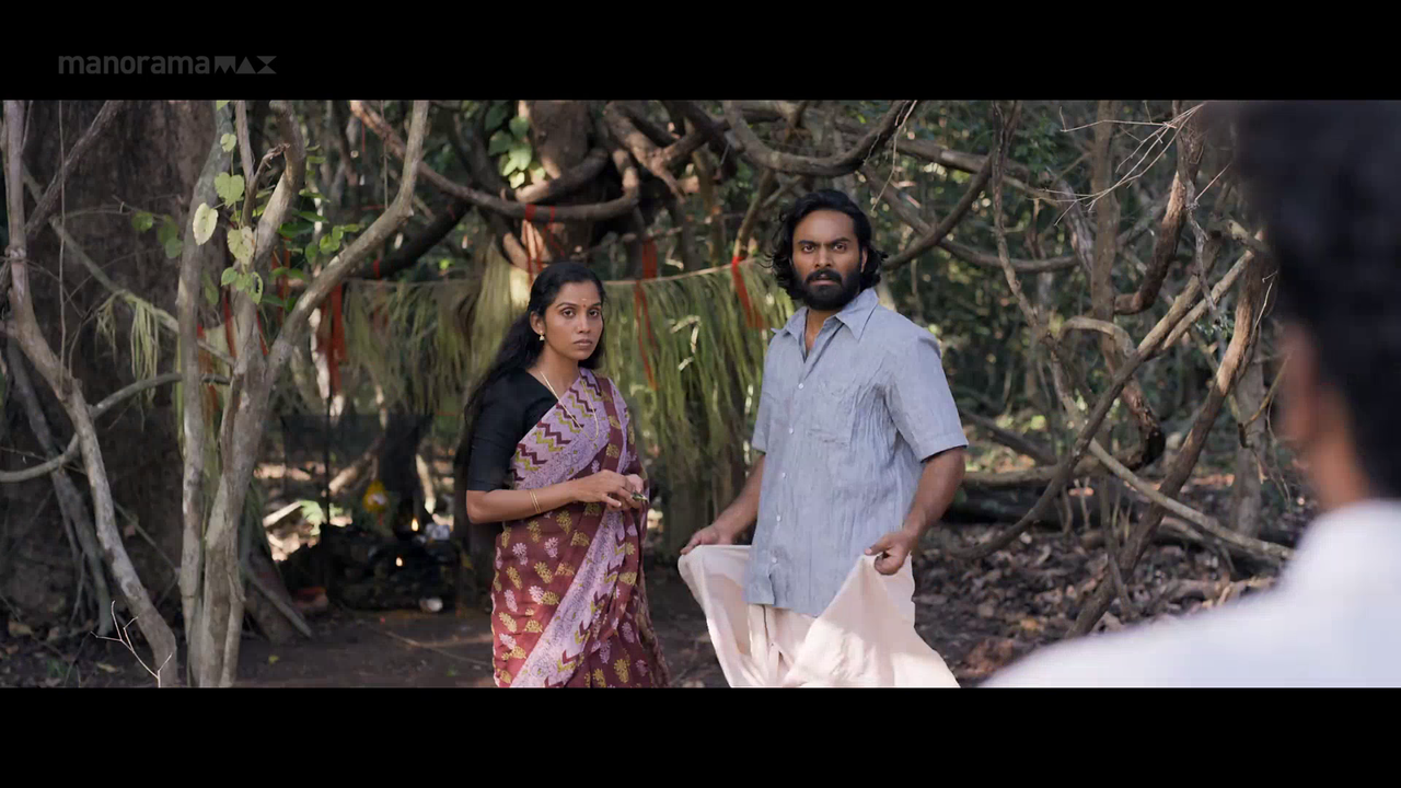 vlcsnap 2026 02 06 18h03m05s697