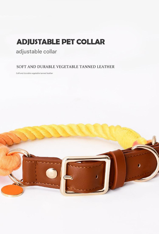 Premium Leather Pet Collar and Leash - Soft, Strong Braided Rope (Navy blue - Size L)
