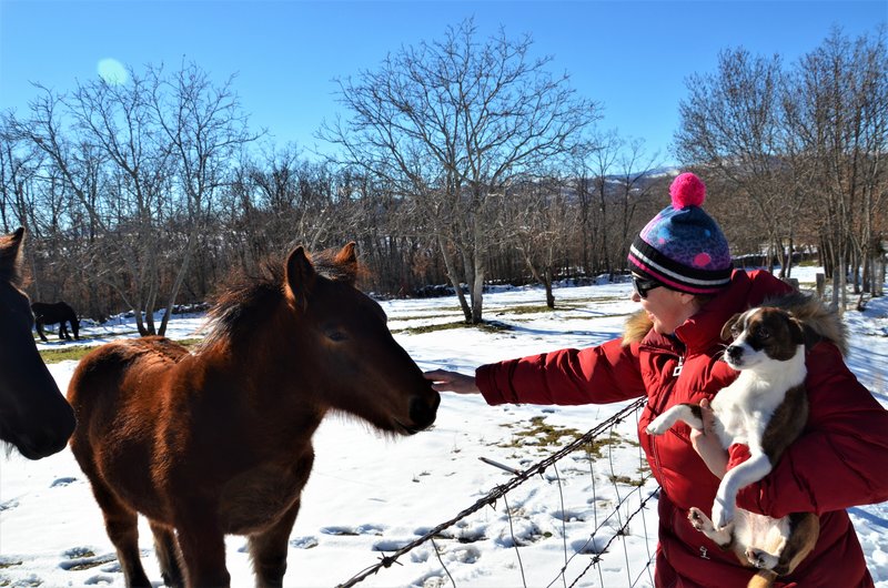 LA HIRUELA-24-1-2015 - MADRID Y SUS PUEBLOS-2000/2022 (95)