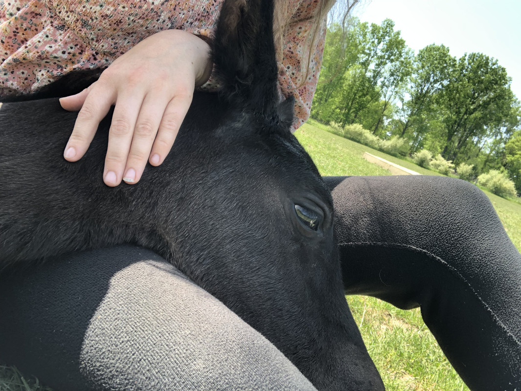 E2511CDD-1260-4B3B-9E3E-0B05F1E5BC7D