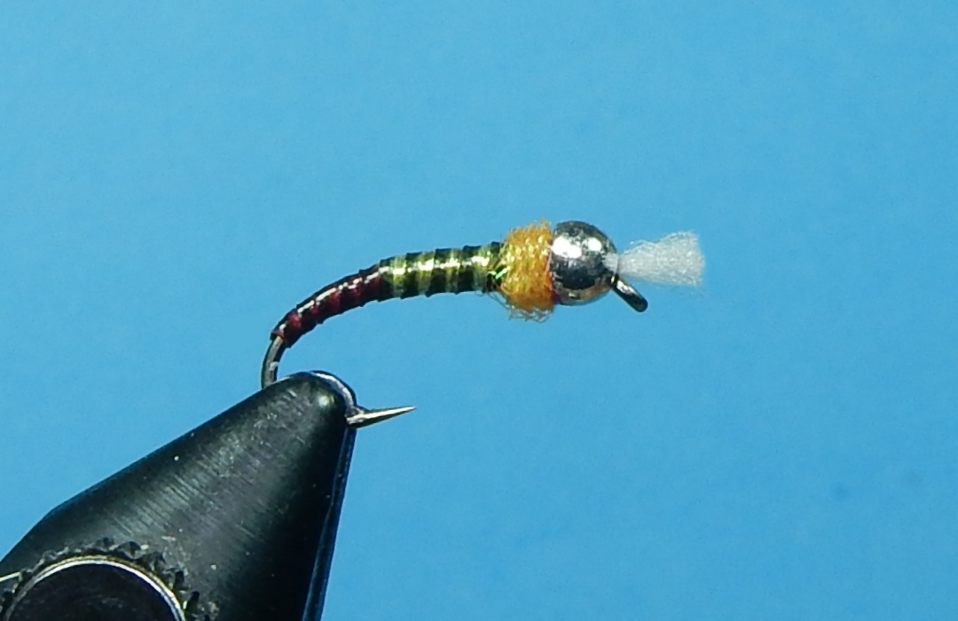 Two-Toned-BC-Chironomid-1080.jpg