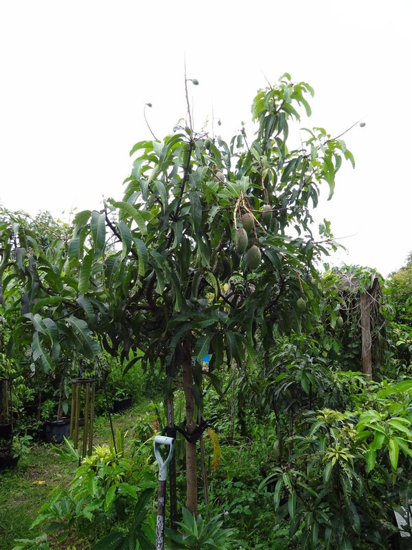 DSC01820